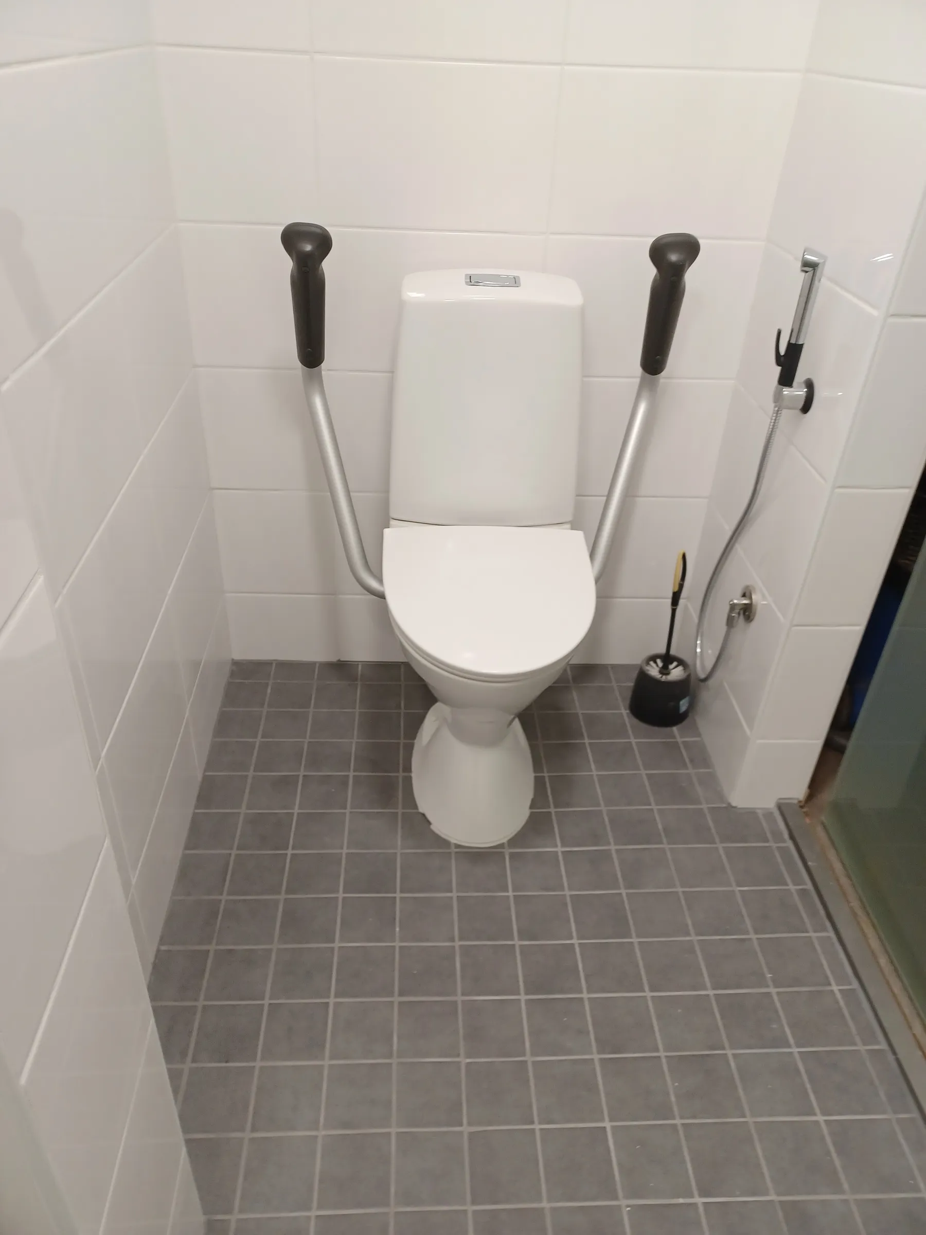 Valkoinen WC-istuin harmailla tukikaiteilla valkoisessa laatoitetussa tilassa. Lattia on harmaata laattaa. Oikealla on käsisuihku ja WC-harja.